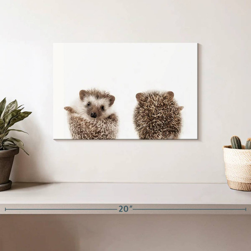 Hedgehog Front And Back Portrait, 8" H x 12" W