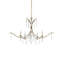 Marshallia 5 - Light Chandelier