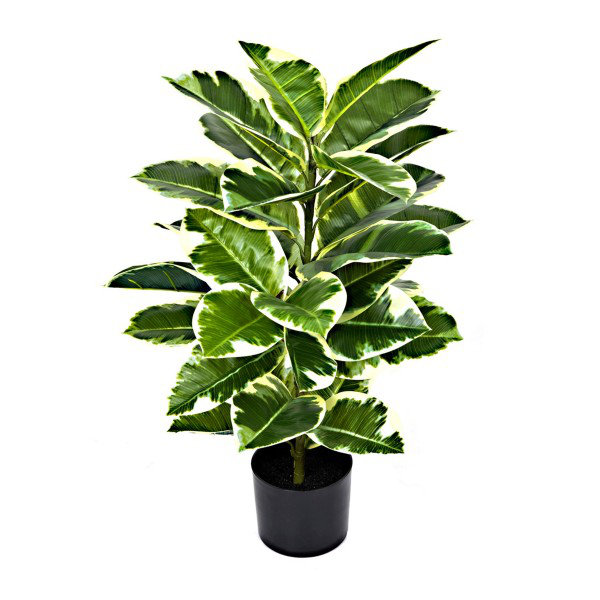 107cm Plant