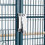 Cage à oiseaux avec roues 53,5 po Setzer-989980072