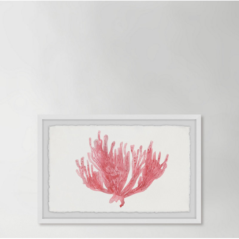 Corail solitaire - reproduction de peinture encadrée, H 20 po x l 30 po x P 1,5 po