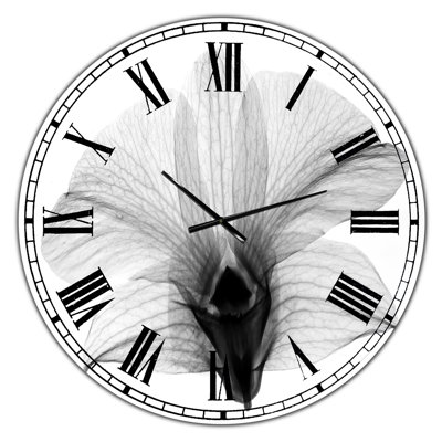 Dendrobium On Back X-Ray Orchid - Large Cottage Wall Clock