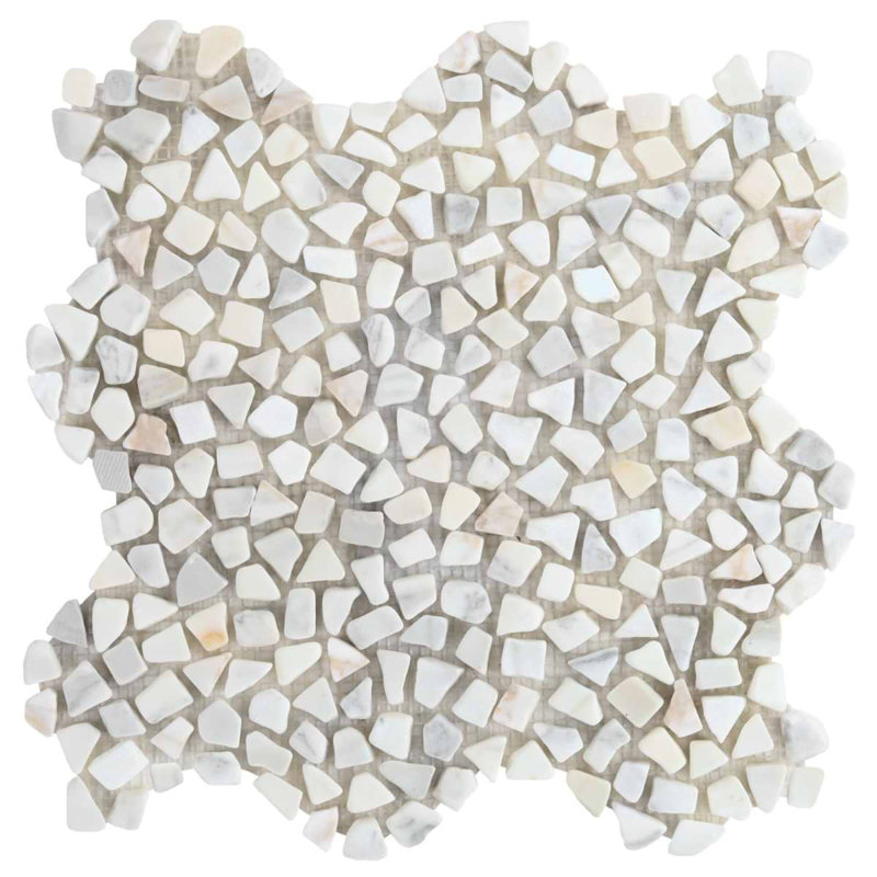 Nature Petite 12x12 Natural Marble Mosaic Tile