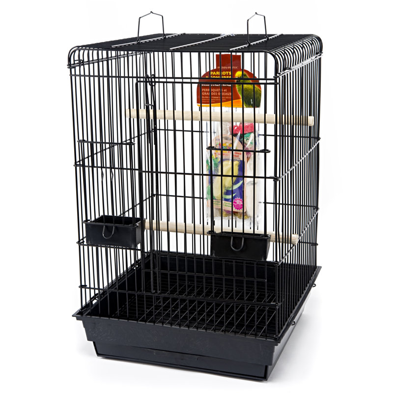 Large Top Starter Bird Kit