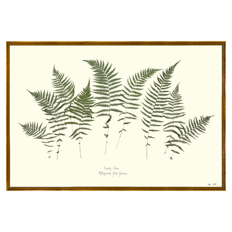 Lady Fern Garden Print by Sandy Whitaker, Antique Gold