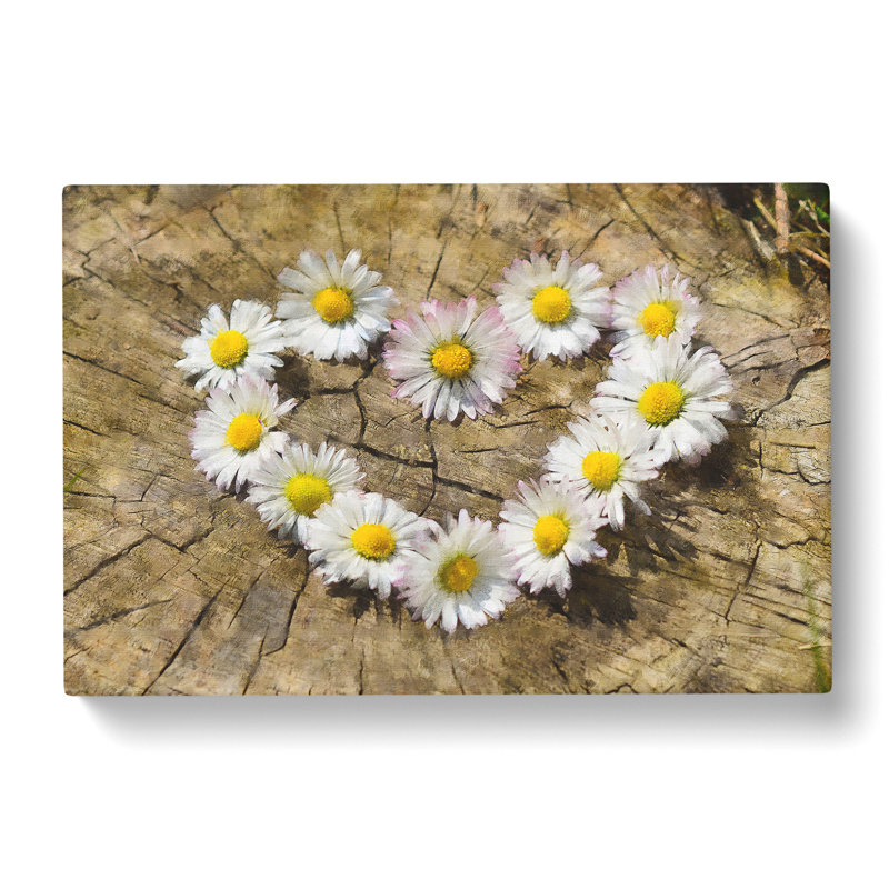 Daisy Heart Chain - Wrapped Canvas Print, 50cm H x 76cm W x 3cm D