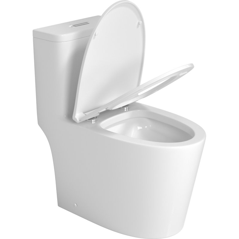 Toilette une pièce avec accessoires de haute qualité