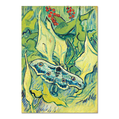 Pavonia maggiore by Vincent Van Gogh - Rectangle Print on Canvas