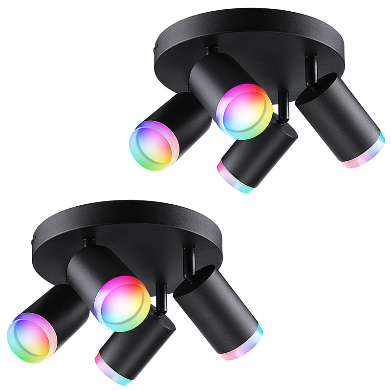Plafonniers intelligents à DEL Kierstin directionnels et à intensité variable, commande vocale Bluetooth APP
