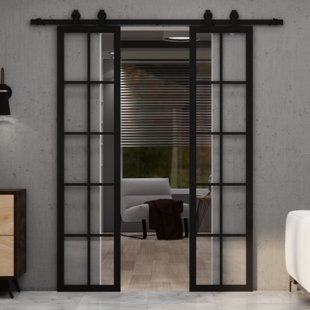 Metal Frame With Glass Barn Door
