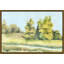 Bright Forest III Painting by Giselle Kelly-74442557-74442556