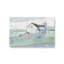 Ensemble de 2 fermes sur des champs ouverts-2062973688-2062973575