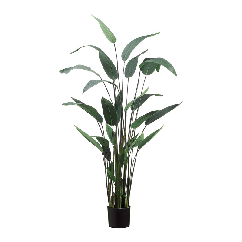 5.5' Faux Water Canna in Liner
