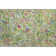 Premium Machine Washable Prisco Fern Rug