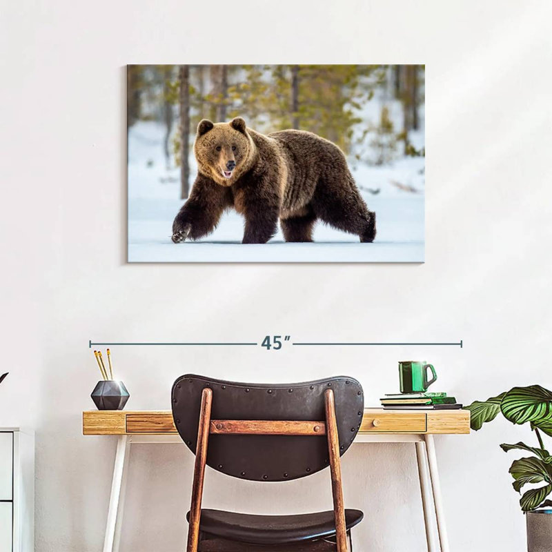 Adulte grizzly, H 24 po x l 36 po