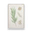 Ensemble de 4 «Earthy Greens in Bloom»-1067927386-1067927390