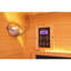 4 - Person Indoor Bluetooth Compatible FAR Infrared Sauna