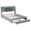 Storage Bed-2028349231
