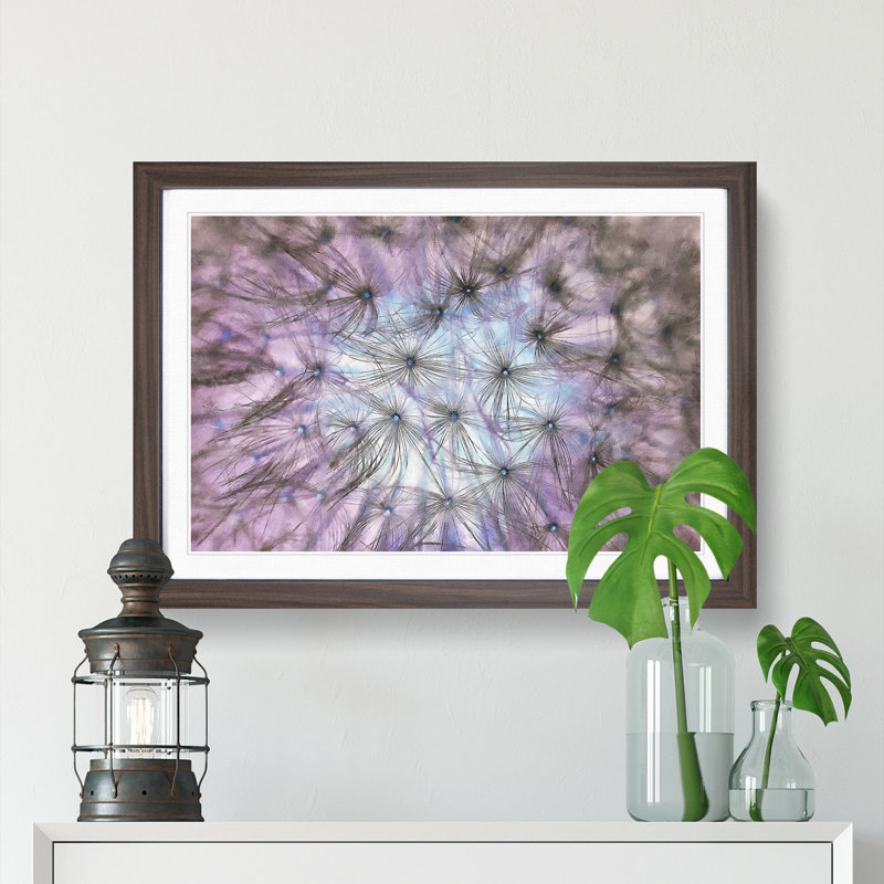 Dandelion Seeds in Blue & Pink - Picture Frame Graphic Art Print, 33cm H x 45cm W x 2cm D, Walnut Framed