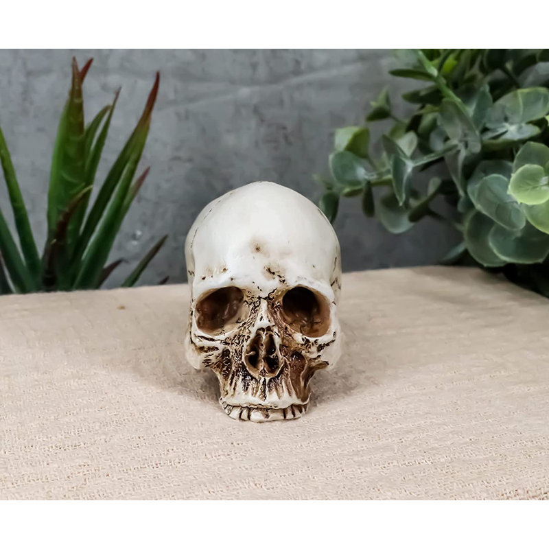 Figurine Daniellerose Homo Sapiens