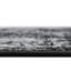 Tapis à motifs floraux Brandt-826292074-860257763-847081657