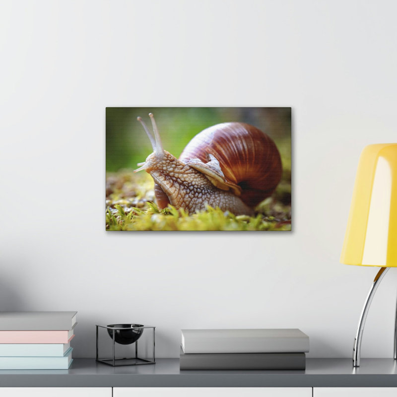 Art mural majestueux escargots