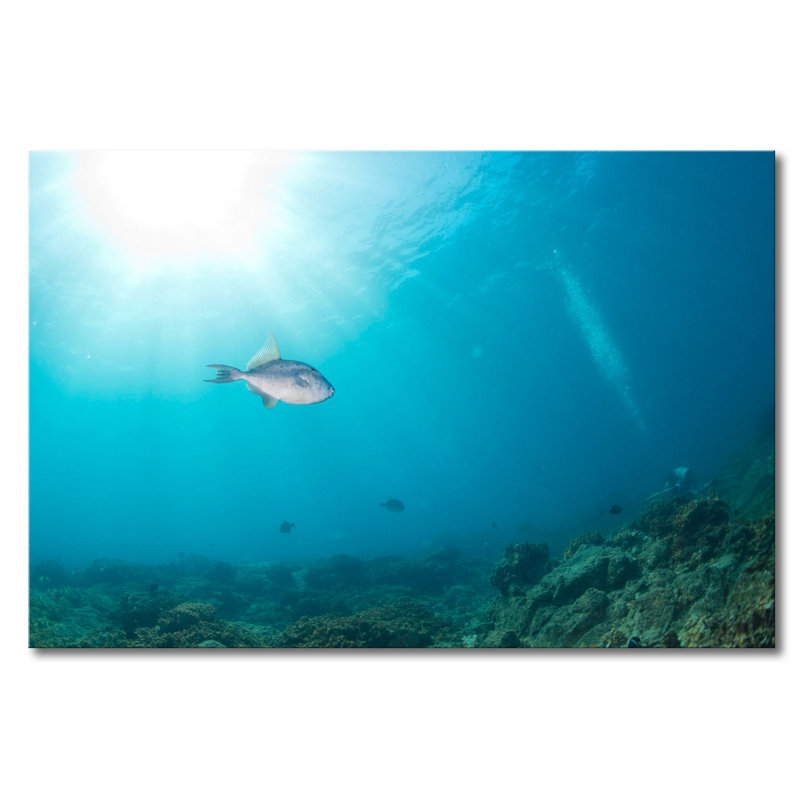 Stretched On Wooden Frame Print on Canvas, 80cm H x 120cm W x 2cm D