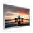 Silver Single Picture Framed