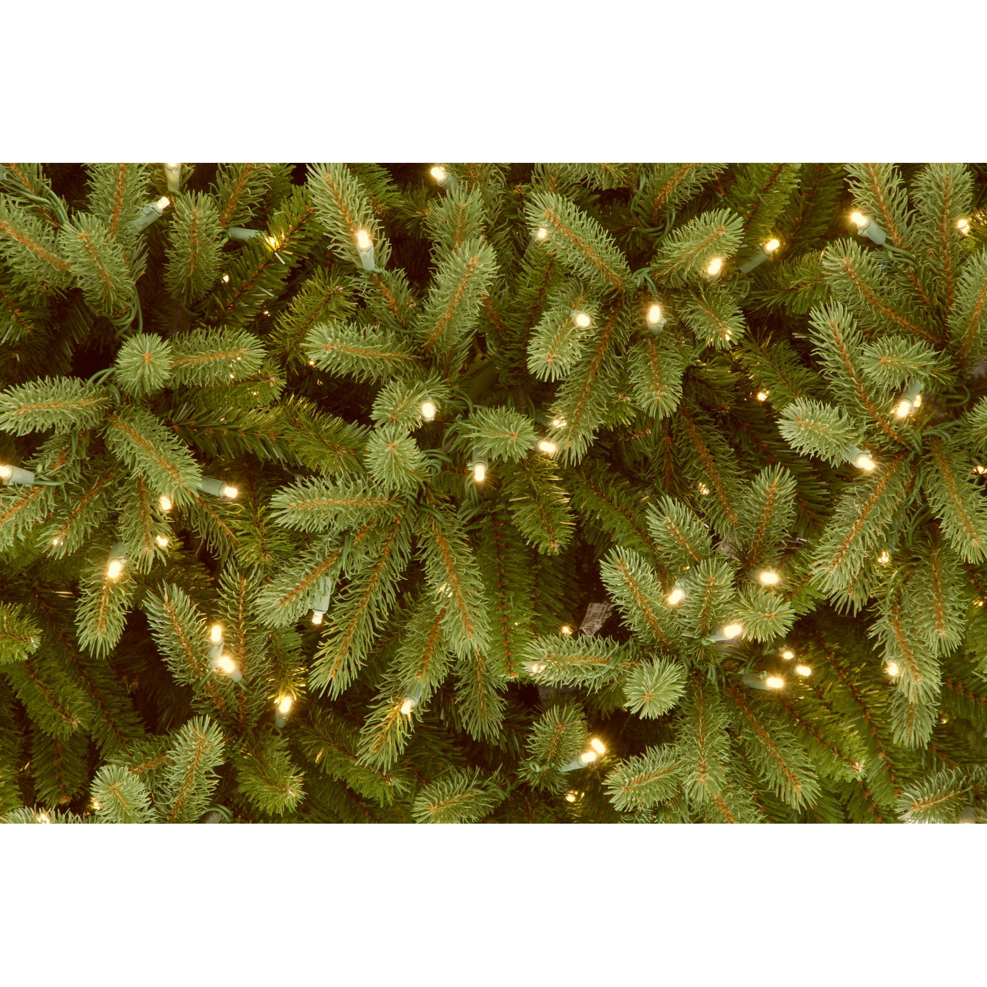 The Holiday Aisle® Jersey Fraser Fir Pencil Slim Tree with Clear Lights, 10'