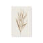 Tan Leaf Impressions Set of 2-1740916265-1740916271