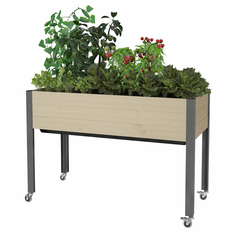 17 Stories Self-Watering Planter (21 X 47 X 32"H), Tan, Spruce