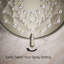 Awaken B90 Three-Function Showerhead 2.5 Gpm-1290901914