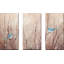 Jolis oiseaux, ensemble de 3 reproductions d'art sur toile tendue-1912418891