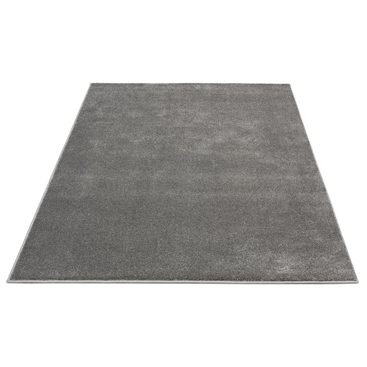Hauselt Anthracite Rug