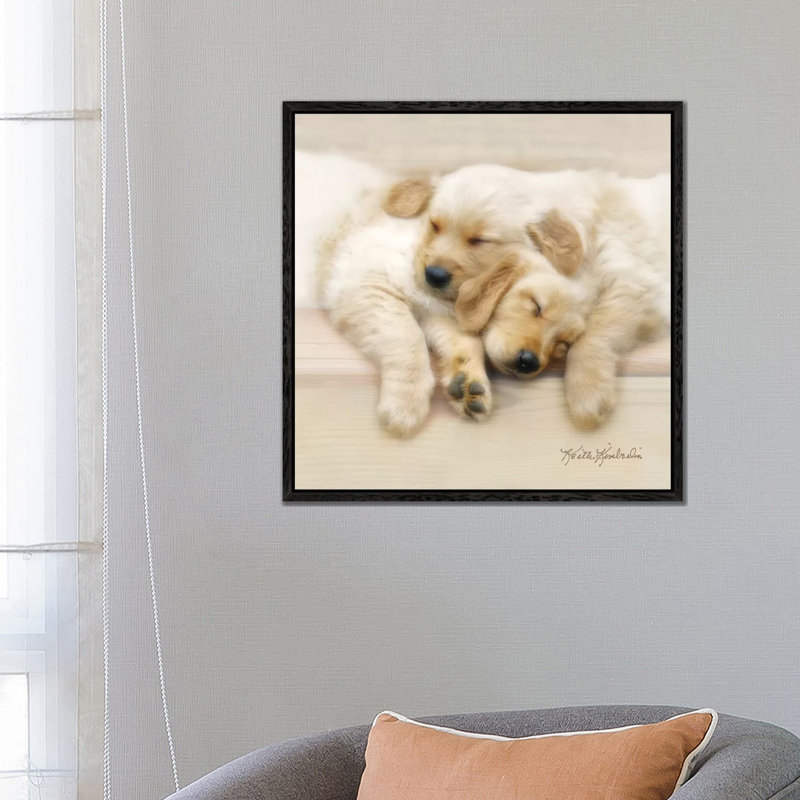 Nap Friends 1 Piece Wall Art on Canvas, 66.04 cm H x 66.04 cm W, Black Framed