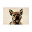 « french bouledogue », impression sur toile michael tompsett-1854052113-1784404630-1784404624