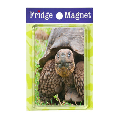 Fridge Magnet