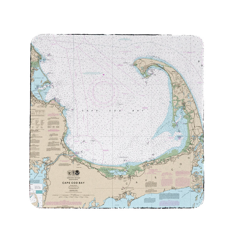 Square 4 Piece Coaster Set