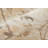 Neoma Southwestern Indoor Rug-1520766017