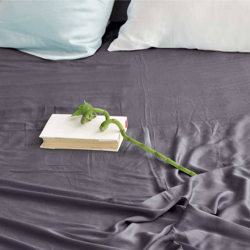 Ensemble de 4 valises pour chambre d'amis, Grand, Gris foncé