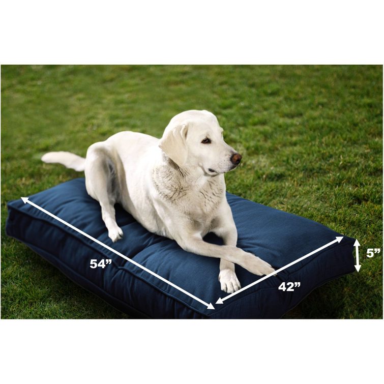 IndoorOutdoor Sunbrella Dog Bed Tucker Murphy Pet Color: Mist, Size: X-Large (54 W x 42 D x 5 H)