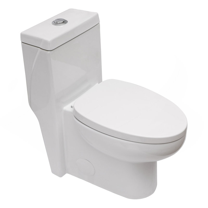 Ceramic One Piece Toilet,Dual Flush with Soft Clsoing Seat