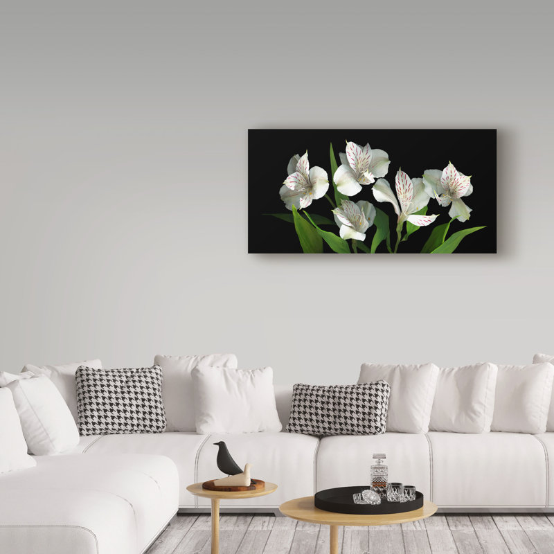 «White Alstroemeria» par Dosta, impression sur toile tendue, H 12 po x l 24 po x P 2 po
