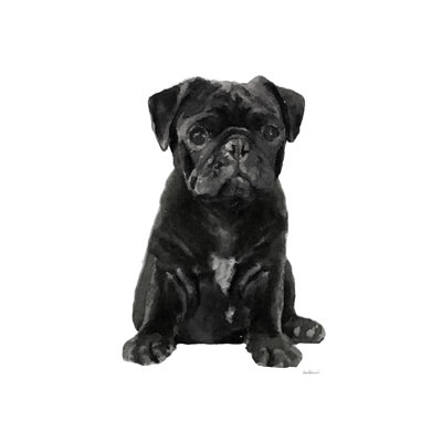 Pug II - Wrapped Canvas Art Prints