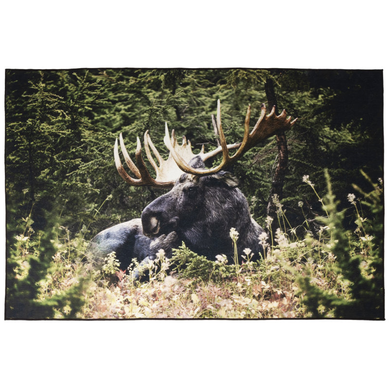 Tapis Moose, Rectangle 5 pi x 7 pi