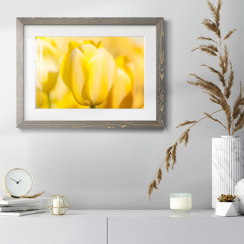Sunshine Yellow II - impression d'un seul cadre photo, Gris, H 14 po x l 20 po