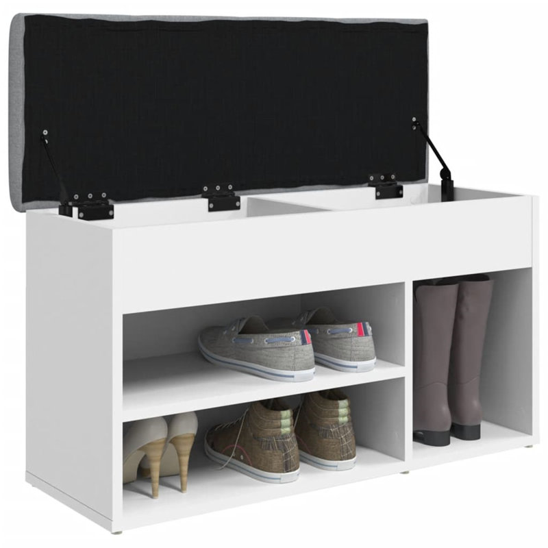 Belkys 5 Pair Shoe Storage Cabinet, White