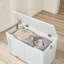 Pensiero Accent Wooden Storage Chest Box