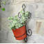 Pot de fleurs mural en fonte Colt