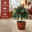 1.8' H Lighted Artificial Pine Christmas Tree